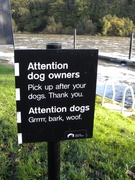 9th Nov 2013 - Can Dogs Read?