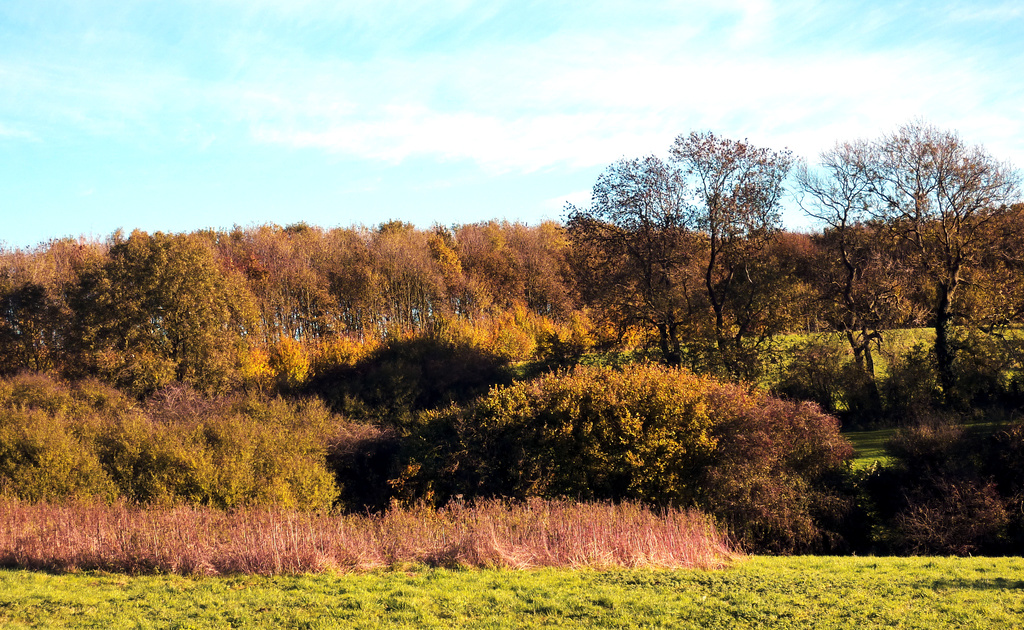 The Fading Autumn Colours of the Hobbucks by phil_howcroft
