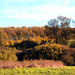 The Fading Autumn Colours of the Hobbucks by phil_howcroft