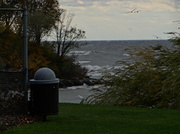 10th Nov 2013 - Lake Erie Whitecaps