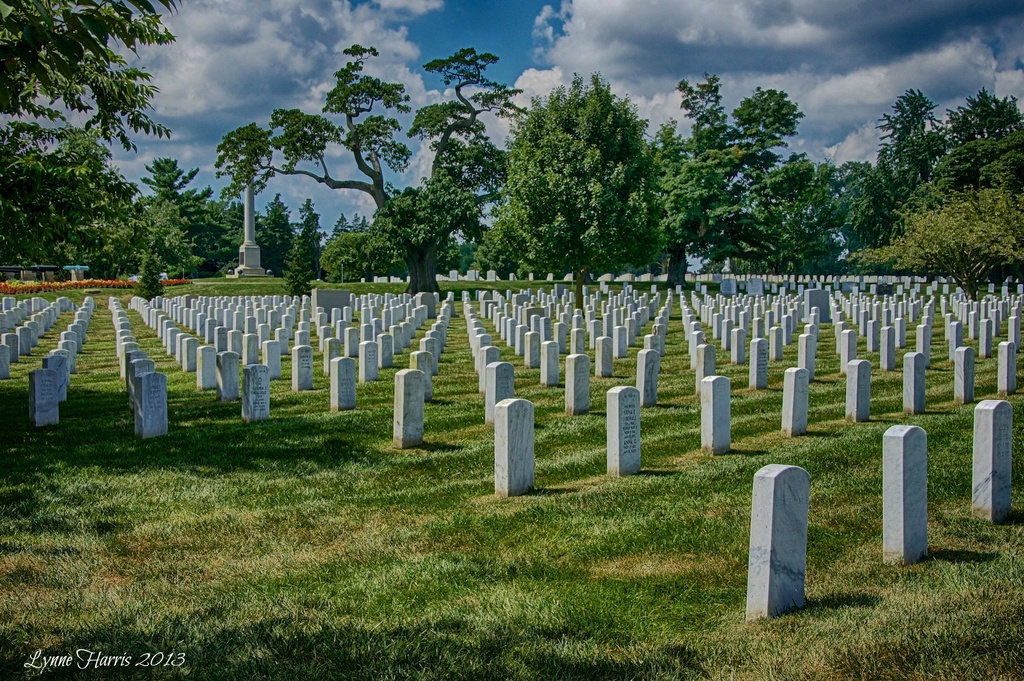 Arlington National Cemetery by lynne5477