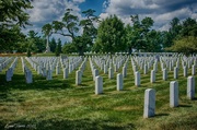 26th Jul 2013 - Arlington National Cemetery