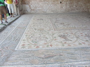 20th Oct 2013 - Basilica A of Doumetios - Mosaic floor IMG_0155