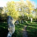 King's Stones Circle by busylady