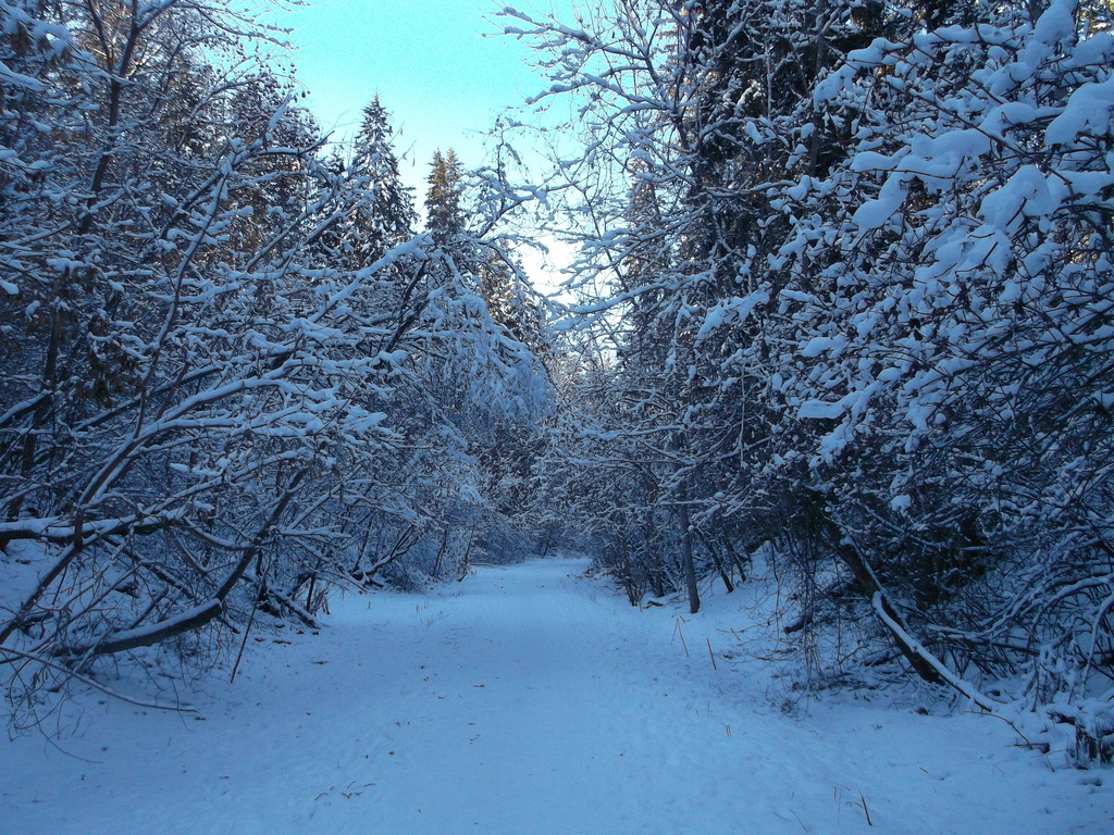 Walking in a Winter Wonderland by bkbinthecity