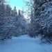 Walking in a Winter Wonderland by bkbinthecity