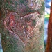 Tangled in vandalism by peterdegraaff