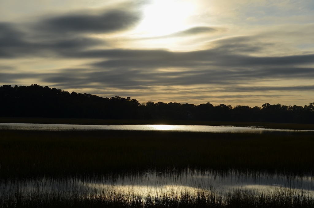 Late afternoon skies and marsh, Charles Towne Landing State Historic Site, Charleston, SC by congaree