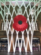 11th Nov 2013 - ... we will remember them