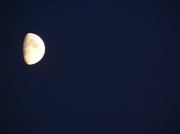 12th Nov 2013 - "The moon, the moon, the beautiful moon..."