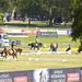 Australian international horse trials by sugarmuser