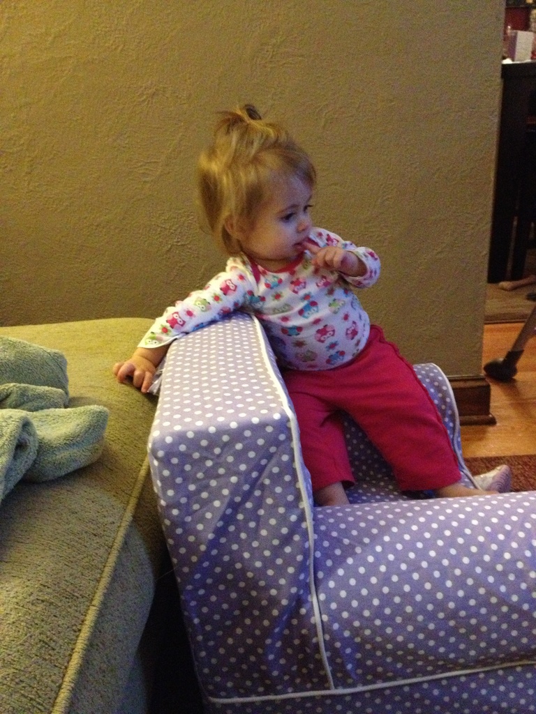 Climbing on the furniture  by mdoelger