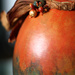 Decorated Gourd by whiteswan
