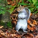 Has Anyone Seen My Nuts? :-) by jesperani