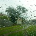 Rain by kjarn