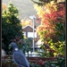 Good morning Mr Pigeon !! by beryl