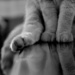 Boubou's big paws by parisouailleurs