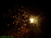 13th Nov 2013 - Coming home in the dark