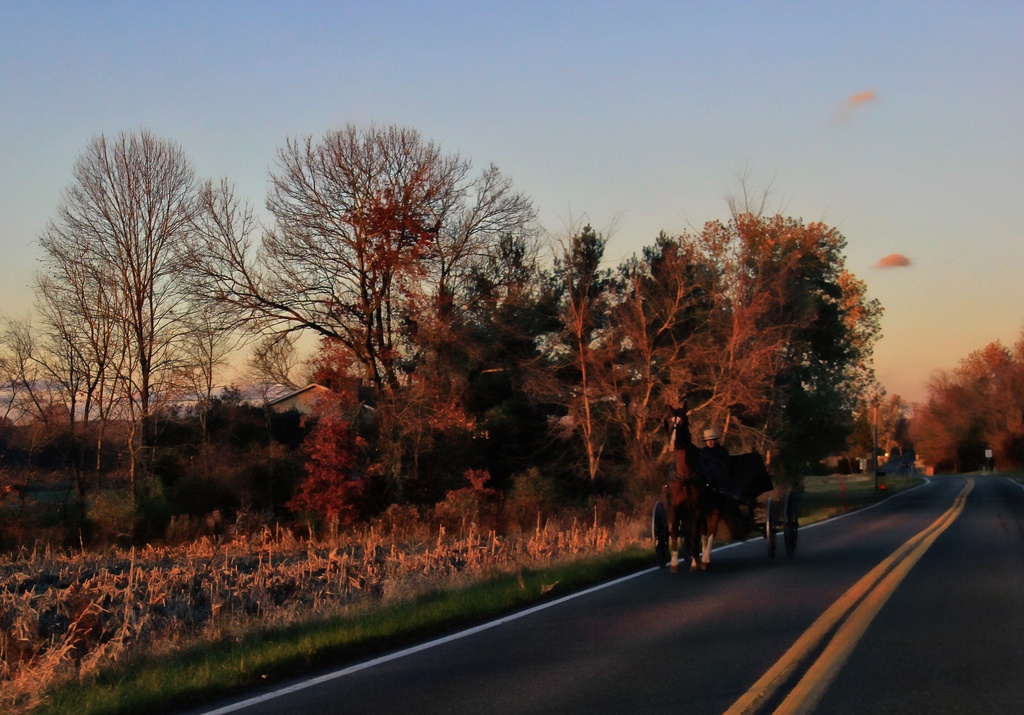 Long Ride Home In Color by digitalrn