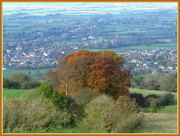 13th Nov 2013 - Cotswold countryside