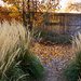 November garden by khrunner