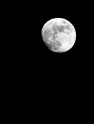 15th Nov 2013 - Moon over RI