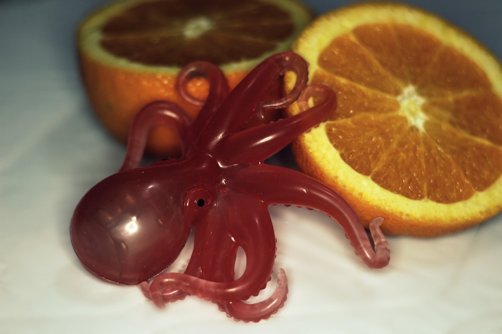 octopussy and orange by summerfield