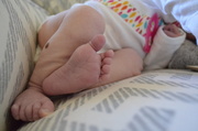 11th Nov 2013 - Baby foot