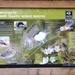 Devon Wildlife Trust AGM today at Hatherleigh by jennymdennis
