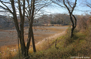 16th Nov 2013 - Shoreline Greenway Trail, Madison 