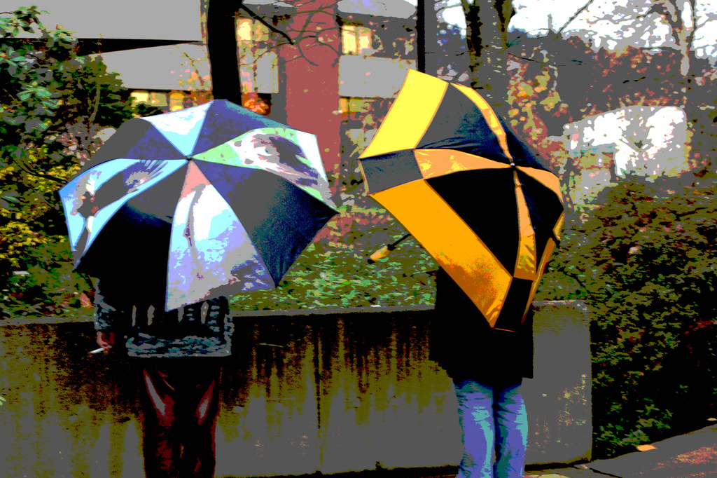 Big Umbrellas by nanderson