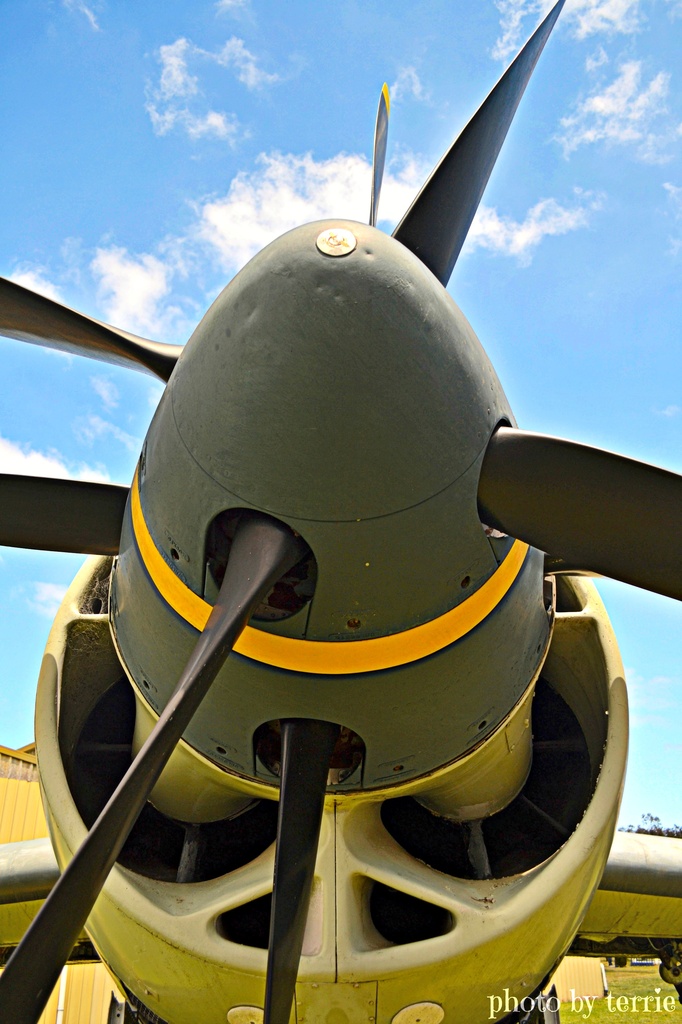 Down the throat of a Fairey Gannet by teodw