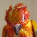 Soggy chicken by alia_801