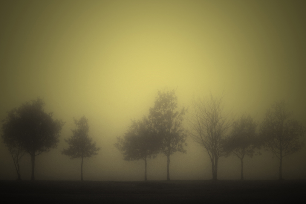 Lemon Mist. by gamelee