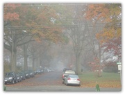 18th Nov 2013 - Sunday Morning Fog