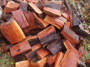 17th Nov 2013 - firewood