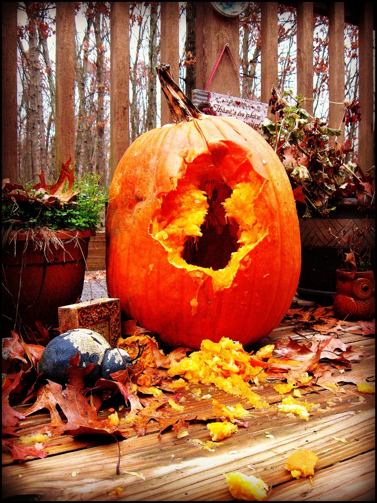 Who's Been Eating My Pumpkin? by olivetreeann