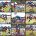 Australian horse trials  by sugarmuser