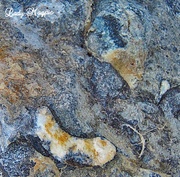 18th Nov 2013 - Fossils in Granite.