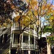 18th Nov 2013 - Autumn in the Wraggborough neighborhood, historic Charleston, SC