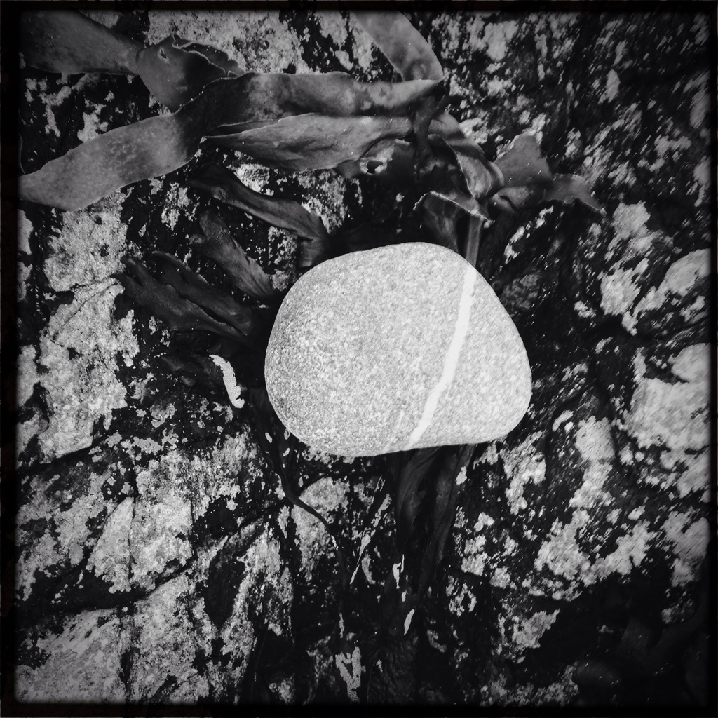 Not the only pebble on the beach by jocasta
