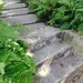 Steps and ferns, Wraggborough neighborhood, Charleston, SC by congaree