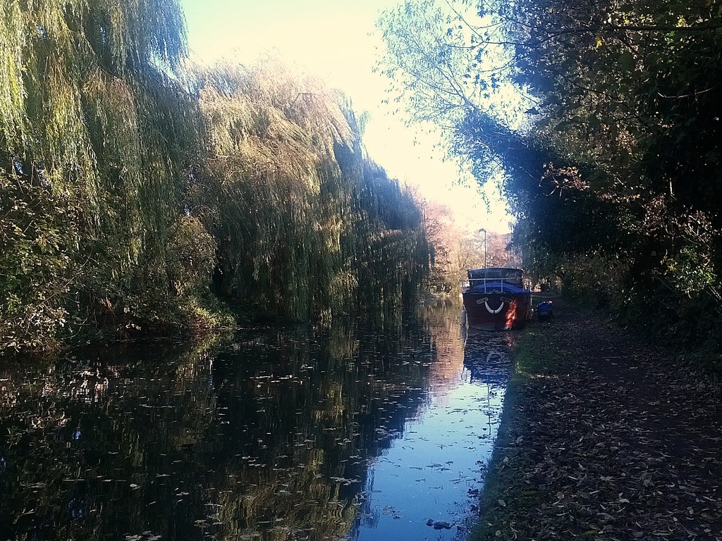 Nov 19: Canal by bulldog