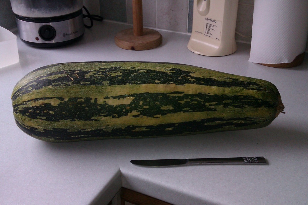 Another large marrow to stuff - I reckon this one will do us 3 meals! by jennymdennis