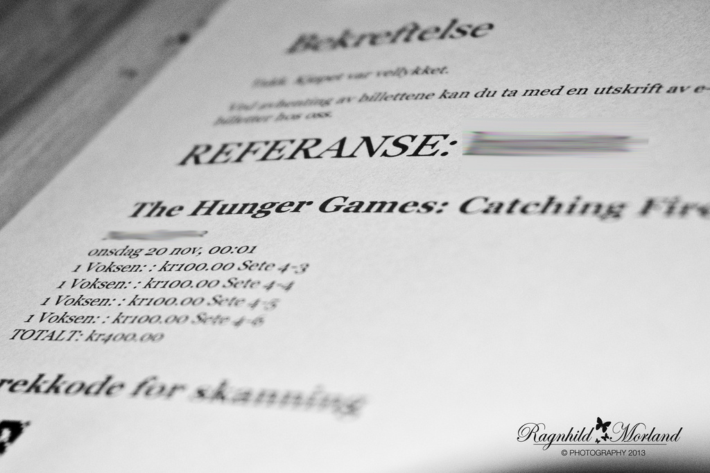 The Hunger Games: Catching Fire by ragnhildmorland