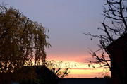 18th Nov 2013 - Slightly out of focus sunset