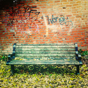 20th Nov 2013 - Wongy's bench