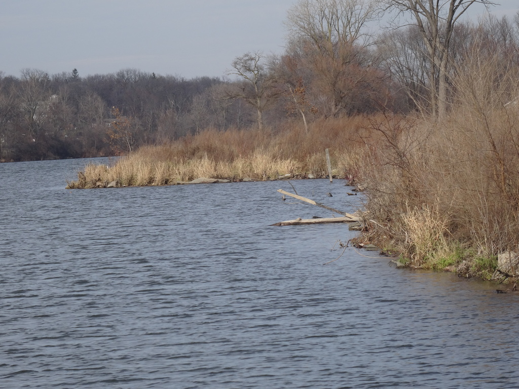 Day 169 Fox River by rminer