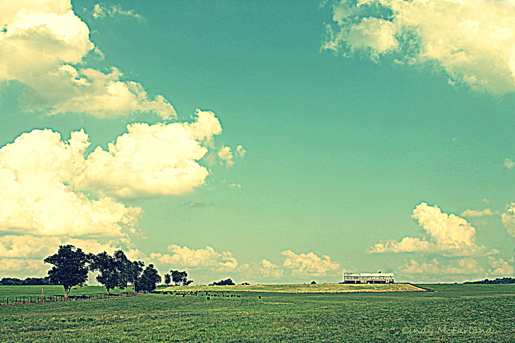 Wide open spaces and a big, blue sky by cindymc