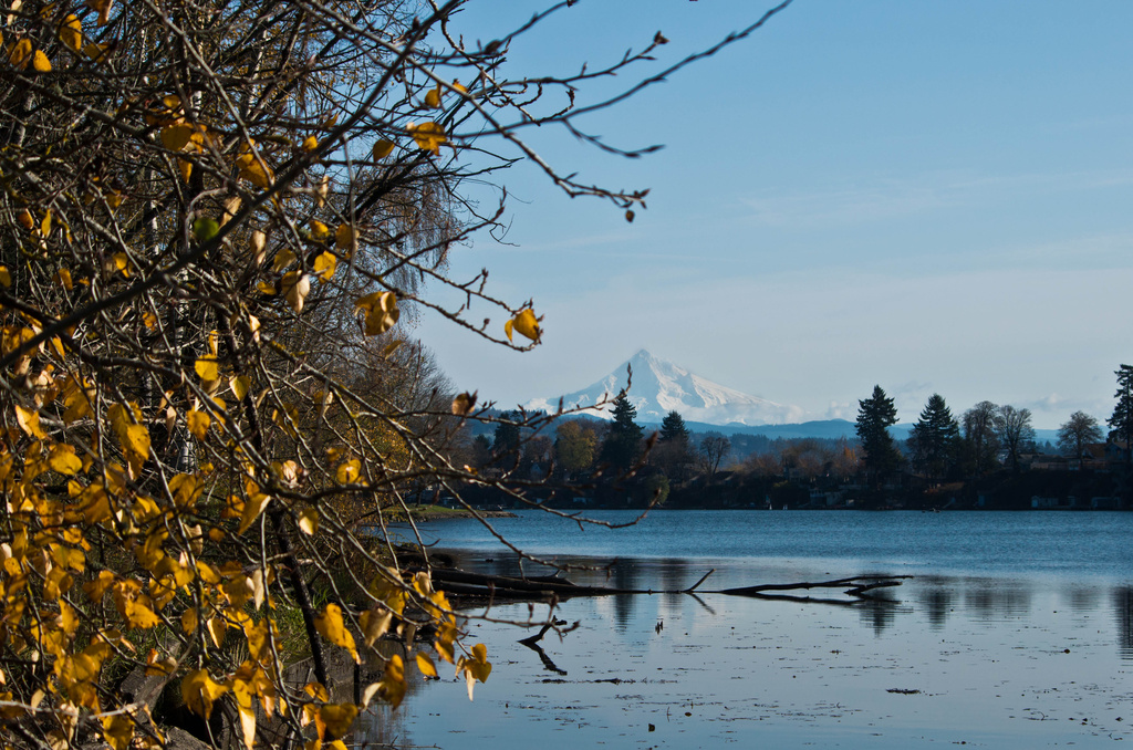Mt. Hood From Blue Lake by vickisfotos